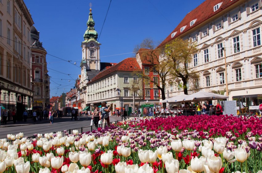 Frühlingsblumen in der Stadt Graz